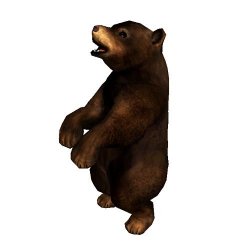 Lockwood: American Wildlife & Halloween, C.Birch, Sep 24, 2012, 2:02 PM, YourPSHome.net, jpg, Bartholomew the Bear Cub.jpg