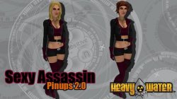 HeavyWater_Pinups2.0Assassin_684x384_20121010.jpg