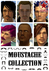 moustaches_256x368.png