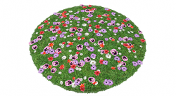 SPRG13_FlowerRug_320.png