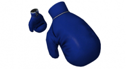 BoxingGlovesBlue_Large.png