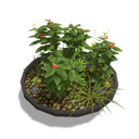 Round Planter 128x128.PNG