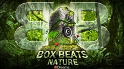 boxbeats-nature.jpg