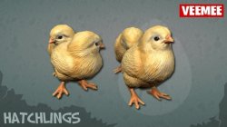 hatchlings2.jpg