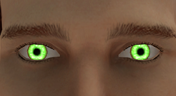 HALL13_Male_GreenEyes_320.png