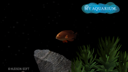 My Aquarium, State Monkey, Dec 2, 2010, 1:40 AM, YourPSHome.net, png, MA_Screenshot_101107.png