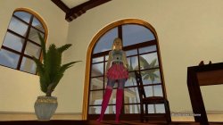 PlayStation®Home Picture 30-1-2011 00-15-04.jpg