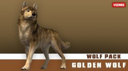 AnimalAvatars_Wolf_Golden_2014-01-22_684x384.jpg