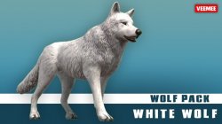 AnimalAvatars_Wolf_White_2014-01-22_684x384.jpg