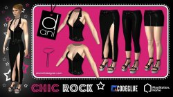 WEB-PROMO_CHIC-ROCK_2014_by-Dani_and_Codeglue_BLACK.jpg