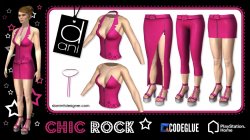 WEB-PROMO_CHIC-ROCK_2014_by-Dani_and_Codeglue_PINK.jpg