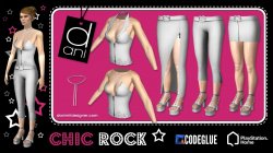 WEB-PROMO_CHIC-ROCK_2014_by-Dani_and_Codeglue_WHITE.jpg