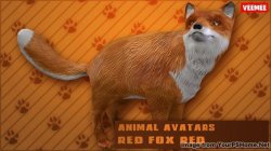 AnimalAvatars_Foxes_04_2014-04-30_684x384.jpg