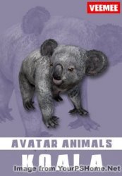 AnimalAvatars_Scamper_Koala_2014-05-28_256x368.jpg