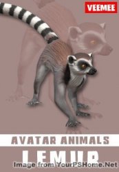 AnimalAvatars_Scamper_Lemur_2014-05-28_256x368.jpg