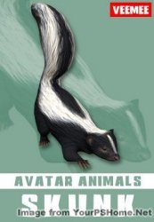 AnimalAvatars_Scamper_Skunk_2014-05-28_256x368.jpg