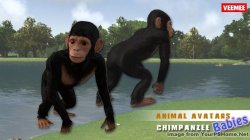 New This Week From Veemee - July 2nd, 2014, kwoman32, Jul 1, 2014, 7:14 AM, YourPSHome.net, jpg, AnimalAvatars_BabyAnimals_Chimp_2014-07-02_684x384.jpg