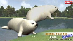 New This Week From Veemee - July 2nd, 2014, kwoman32, Jul 1, 2014, 7:14 AM, YourPSHome.net, jpg, AnimalAvatars_BabyAnimals_Seal_2014-07-02_684x384.jpg