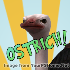 Commerce_Ostrich_240x240.png