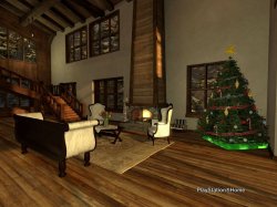 PlayStation®Home Picture 12-4-2011 10-51-46.jpg