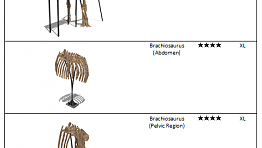 Brachiosaurus fossil list.png