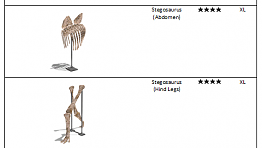 Stegosaurus fossil list.png