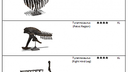 Tyrannosaurus fossil list.png