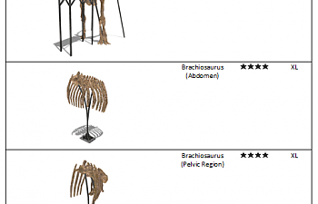 Brachiosaurus fossil list.png