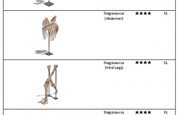 Stegosaurus fossil list.png