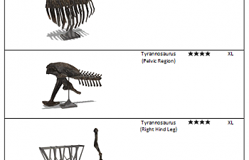 Tyrannosaurus fossil list.png