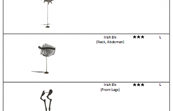 Irish Elk fossil list.png